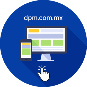 Diseño web portal desarrollo